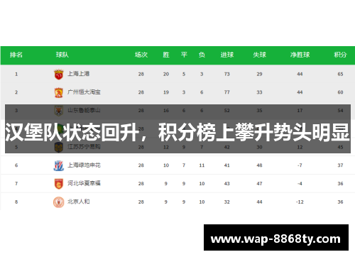 汉堡队状态回升，积分榜上攀升势头明显